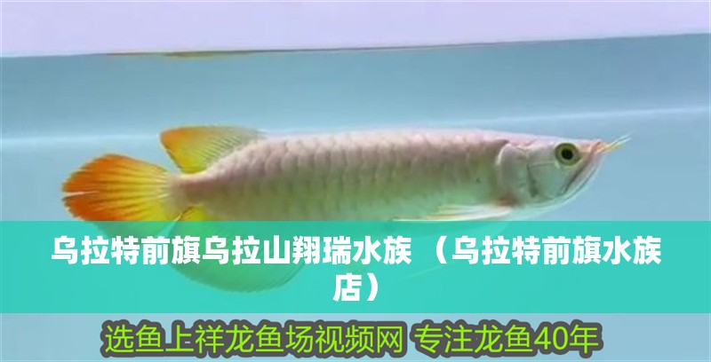 烏拉特前旗烏拉山翔瑞水族 （烏拉特前旗水族店）