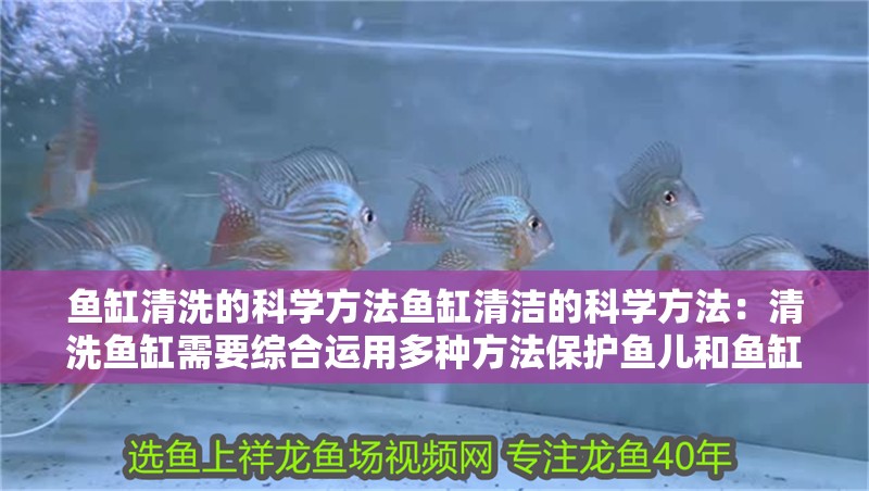 魚缸清洗的科學方法魚缸清潔的科學方法：清洗魚缸需要綜合運用多種方法保護魚兒和魚缸健康