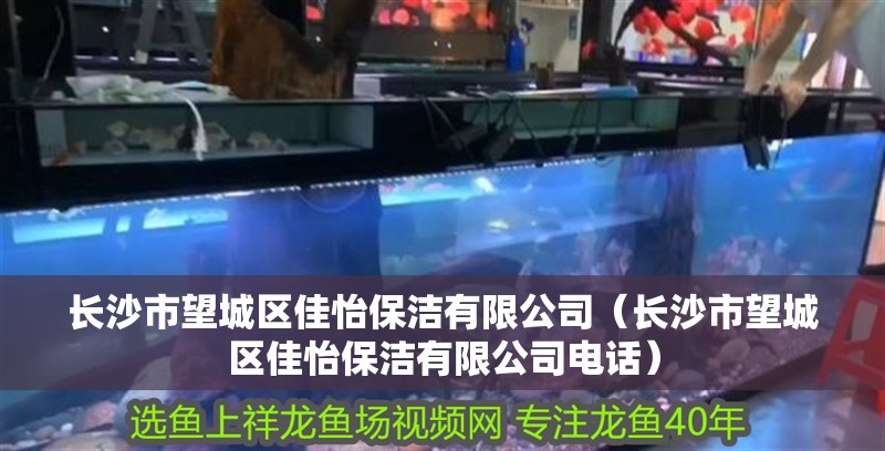 長沙市望城區(qū)佳怡保潔有限公司（長沙市望城區(qū)佳怡保潔有限公司電話）