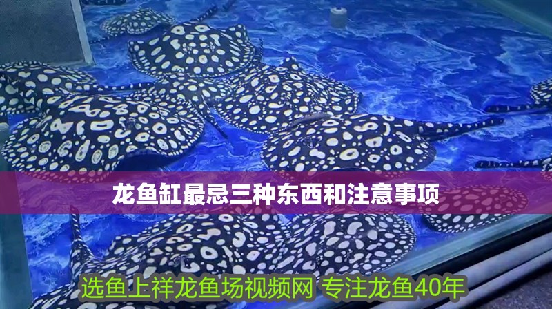 龍魚缸最忌三種東西和注意事項