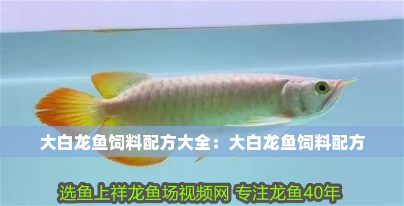 詳細閱讀:大白龍魚飼料配方大全:大白龍魚飼料配方 大白龍魚飼料配方大全:大白龍魚飼料配方