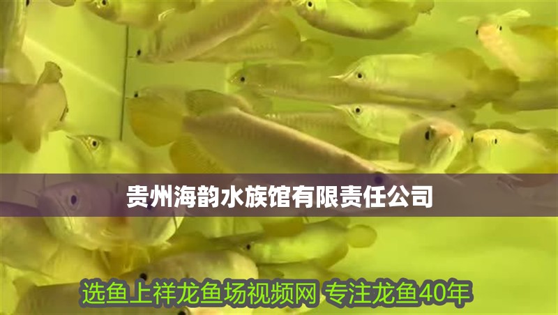 貴州海韻水族館有限責(zé)任公司