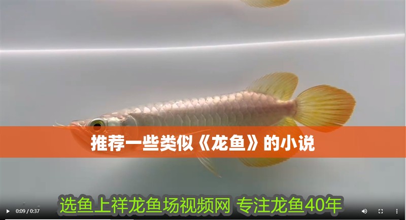 推薦一些類似《龍魚》的小說