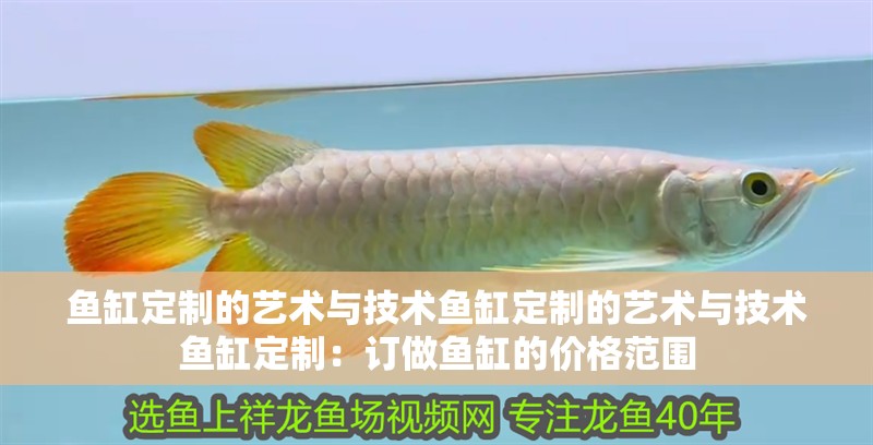 魚缸定制的藝術與技術魚缸定制的藝術與技術魚缸定制：訂做魚缸的價格范圍