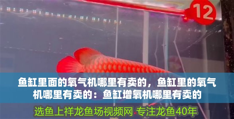 魚缸里面的氧氣機哪里有賣的，魚缸里的氧氣機哪里有賣的：魚缸增氧機哪里有賣的