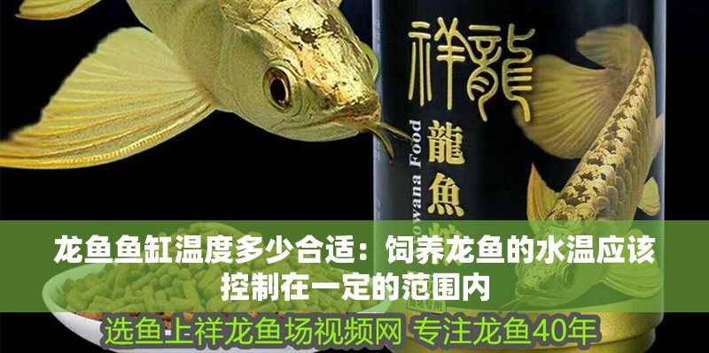 龍魚魚缸溫度多少合適：飼養龍魚的水溫應該控制在一定的范圍內