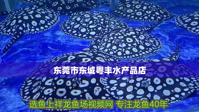 東莞市東城粵豐水產品店