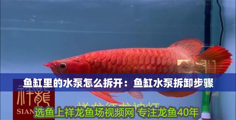 魚(yú)缸里的水泵怎么拆開(kāi)：魚(yú)缸水泵拆卸步驟