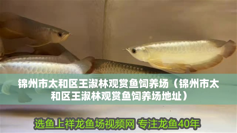 錦州市太和區(qū)王淑林觀賞魚飼養(yǎng)場（錦州市太和區(qū)王淑林觀賞魚飼養(yǎng)場地址）