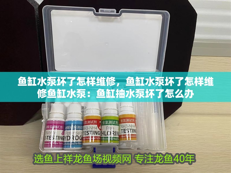 魚缸水泵壞了怎樣維修，魚缸水泵壞了怎樣維修魚缸水泵：魚缸抽水泵壞了怎么辦