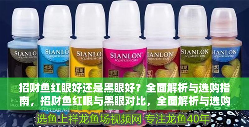 招財(cái)魚紅眼好還是黑眼好？全面解析與選購指南，招財(cái)魚紅眼與黑眼對(duì)比，全面解析與選購指南 招財(cái)魚紅眼好還是黑眼好？全面解析與選購指南，招財(cái)魚紅眼與黑眼對(duì)比，全面解析與選購指南 龍魚百科 第1張