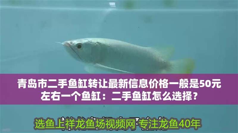 青島市二手魚缸轉讓最新信息價格一般是50元左右一個魚缸：二手魚缸怎么選擇？