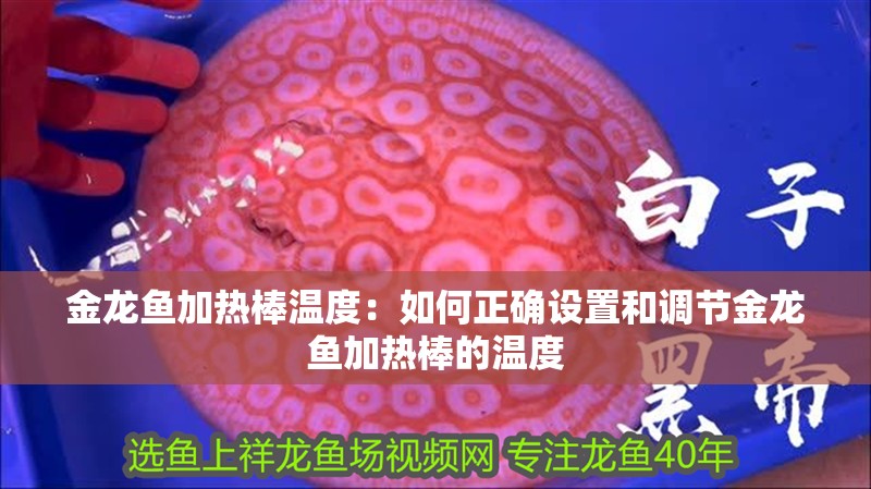 金龍魚加熱棒溫度：如何正確設置和調節金龍魚加熱棒的溫度