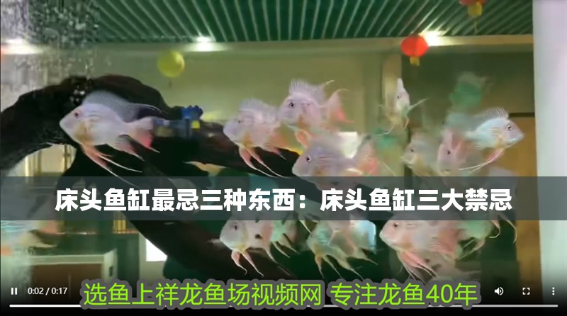 床頭魚缸最忌三種東西：床頭魚缸三大禁忌