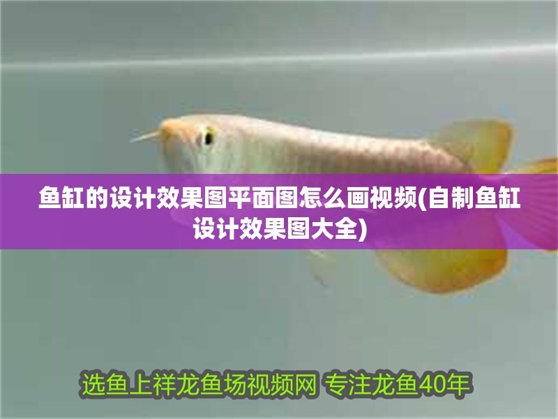 魚缸的設(shè)計(jì)效果圖平面圖怎么畫視頻(自制魚缸設(shè)計(jì)效果圖大全) 魚缸的設(shè)計(jì)效果圖平面圖怎么畫視頻(自制魚缸設(shè)計(jì)效果圖大全) 魚缸百科