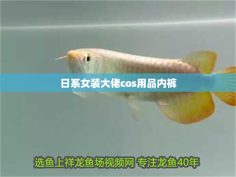 日系女裝大佬cos用品內(nèi)褲