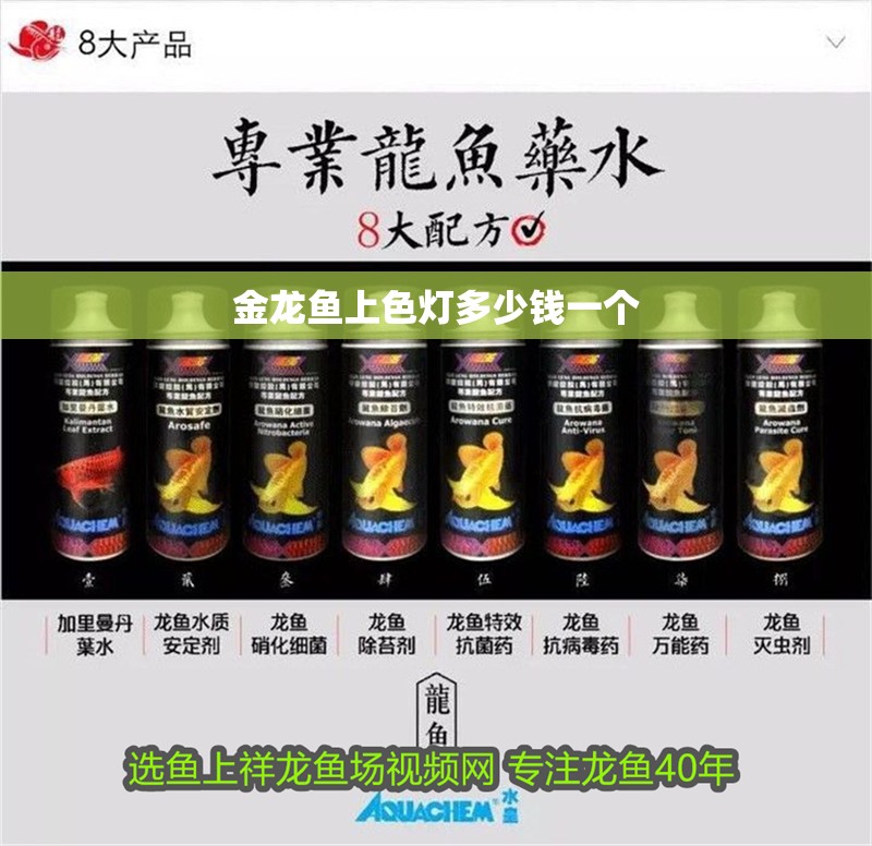 金龍魚上色燈多少錢一個