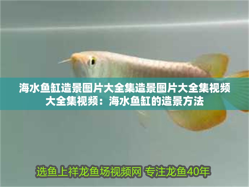 海水魚缸造景圖片大全集造景圖片大全集視頻大全集視頻：海水魚缸的造景方法