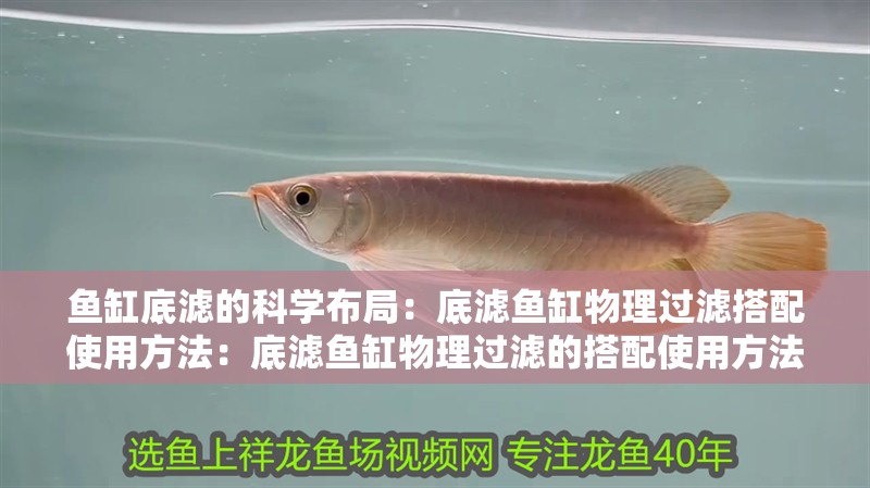 魚缸底濾的科學布局：底濾魚缸物理過濾搭配使用方法：底濾魚缸物理過濾的搭配使用方法