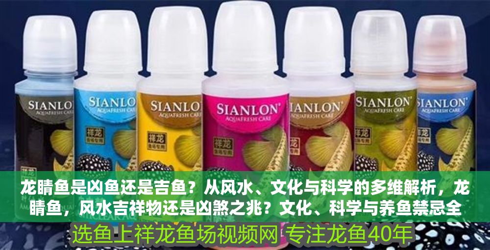 龍睛魚是兇魚還是吉魚？從風(fēng)水、文化與科學(xué)的多維解析，龍睛魚，風(fēng)水吉祥物還是兇煞之兆？文化、科學(xué)與養(yǎng)魚禁忌全解析