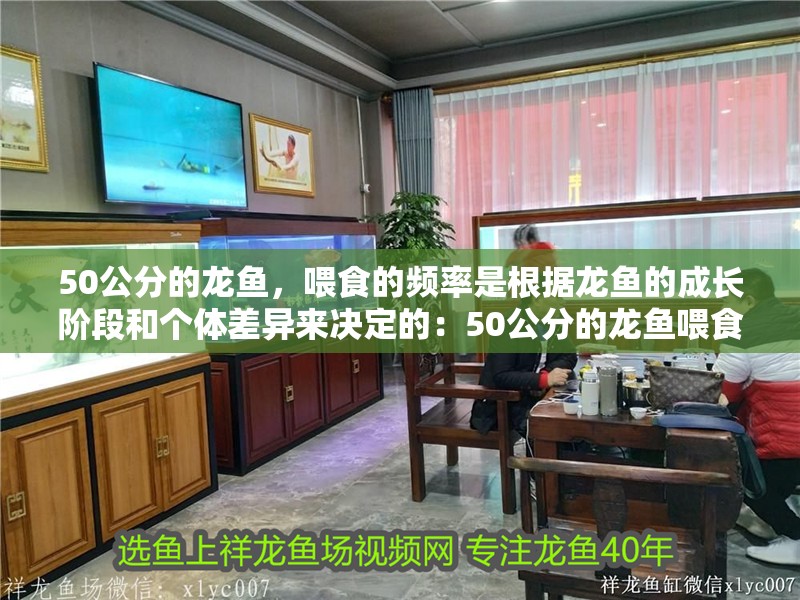 50公分的龍魚，喂食的頻率是根據龍魚的成長階段和個體差異來決定的：50公分的龍魚喂食的頻率應該是多少？