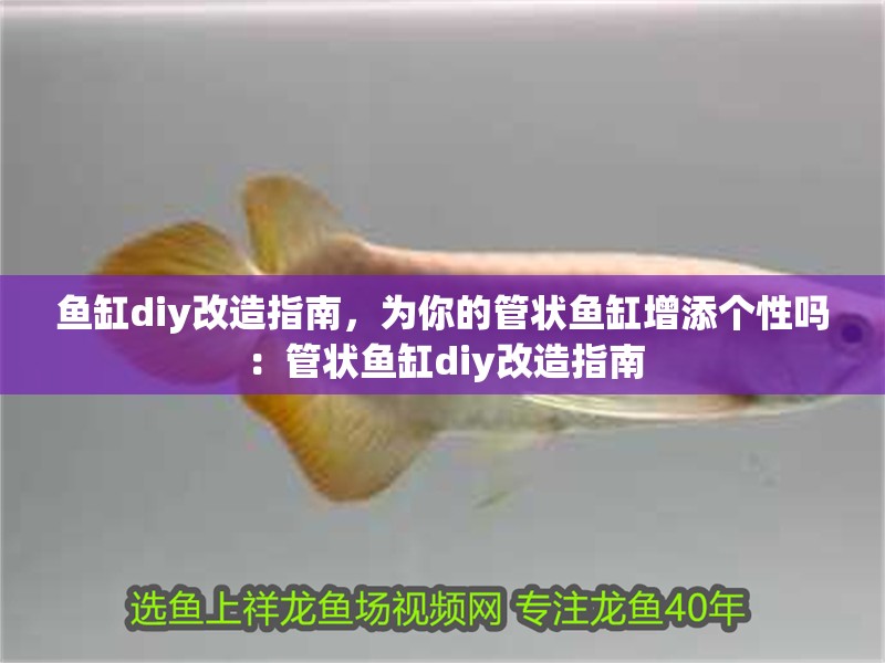 魚缸diy改造指南，為你的管狀魚缸增添個性嗎：管狀魚缸diy改造指南