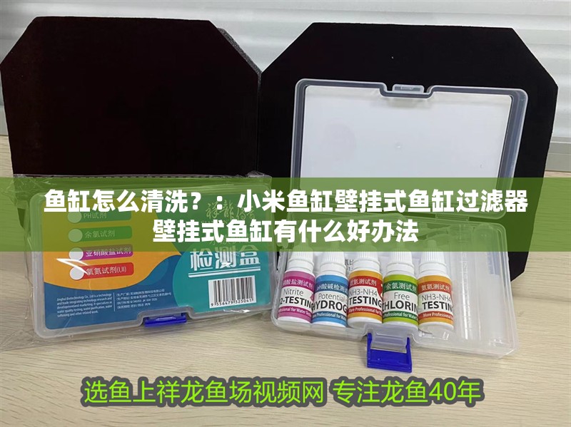 魚缸怎么清洗？：小米魚缸壁掛式魚缸過濾器壁掛式魚缸有什么好辦法
