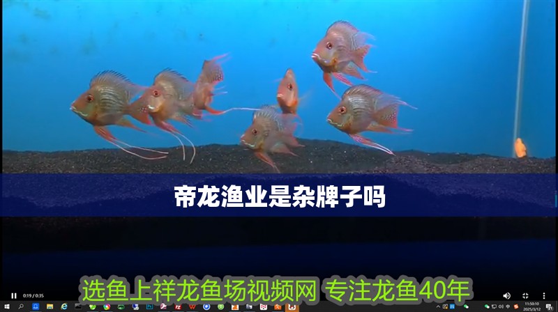 帝龍漁業是雜牌子嗎