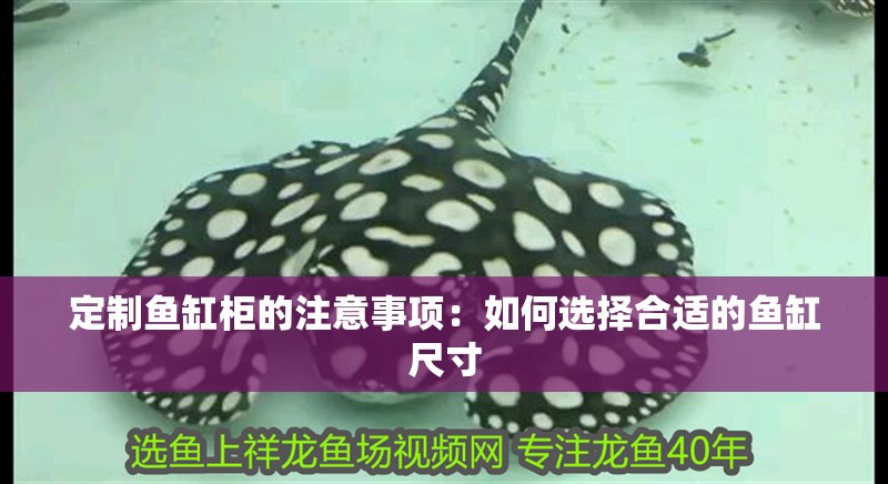定制魚缸柜的注意事項：如何選擇合適的魚缸尺寸 定制魚缸柜的注意事項：如何選擇合適的魚缸尺寸 魚缸百科