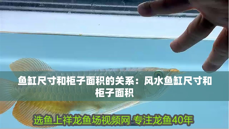 魚缸尺寸和柜子面積的關系：風水魚缸尺寸和柜子面積