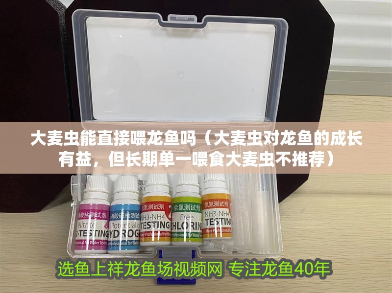 大麥蟲能直接喂龍魚嗎（大麥蟲對(duì)龍魚的成長有益，但長期單一喂食大麥蟲不推薦）