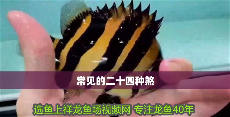 常見的二十四種煞