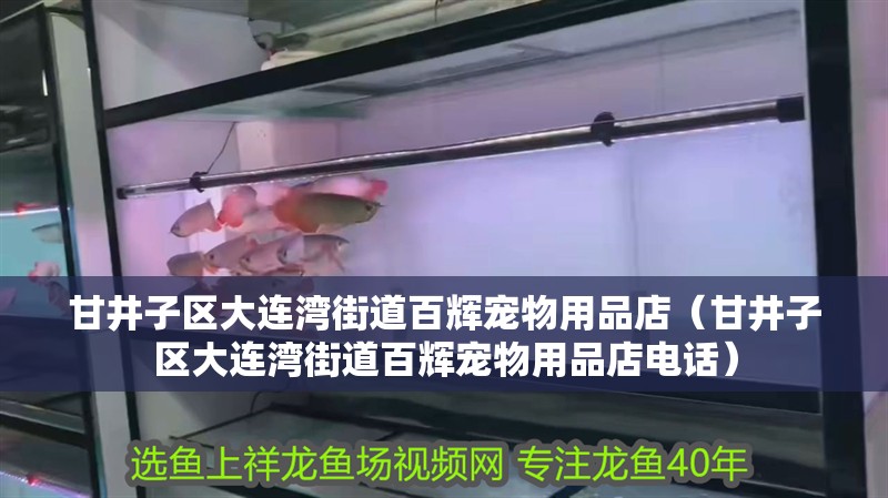 甘井子區大連灣街道百輝寵物用品店（甘井子區大連灣街道百輝寵物用品店電話）