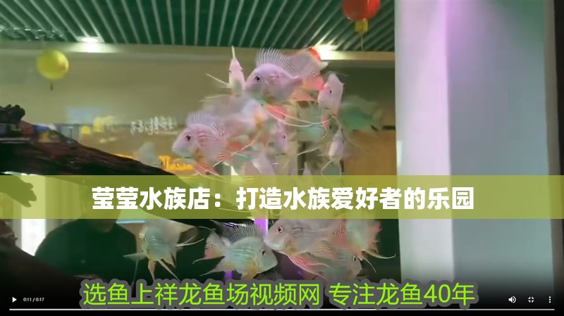 魚缸過濾器選購指南:自制魚缸過濾器魚缸上置過濾器對于養(yǎng)魚愛好者的必備知識 瑩瑩水族店:打造水族愛好者的樂園 全國水族館企業(yè)名錄 瑩瑩水族店:打造水族愛好者的樂園 瑩瑩水族店:打造水族愛好者的樂園 全國水族館企業(yè)名錄