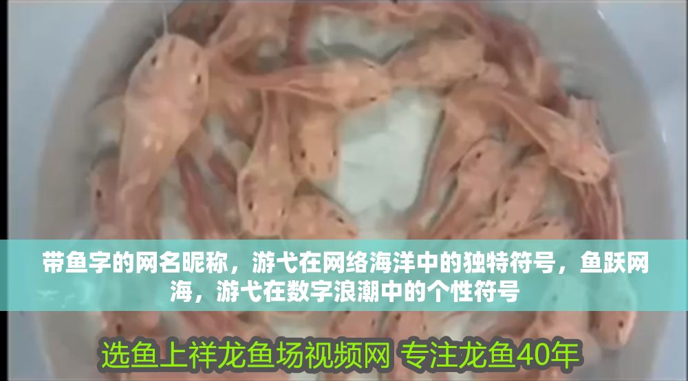 帶魚字的網(wǎng)名昵稱，游弋在網(wǎng)絡(luò)海洋中的獨特符號，魚躍網(wǎng)海，游弋在數(shù)字浪潮中的個性符號