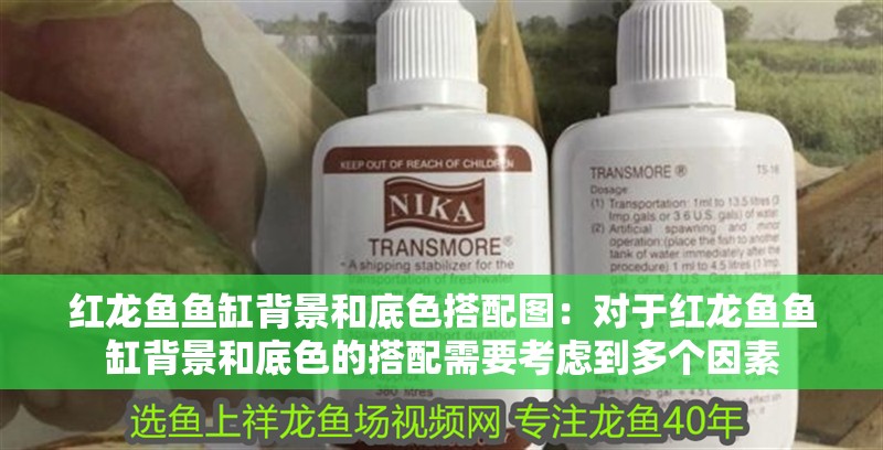 紅龍魚(yú)魚(yú)缸背景和底色搭配圖：對(duì)于紅龍魚(yú)魚(yú)缸背景和底色的搭配需要考慮到多個(gè)因素