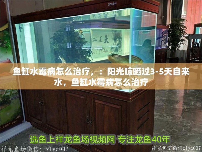 魚缸水霉病怎么治療，：陽光晾曬過3-5天自來水，魚缸水霉病怎么治療