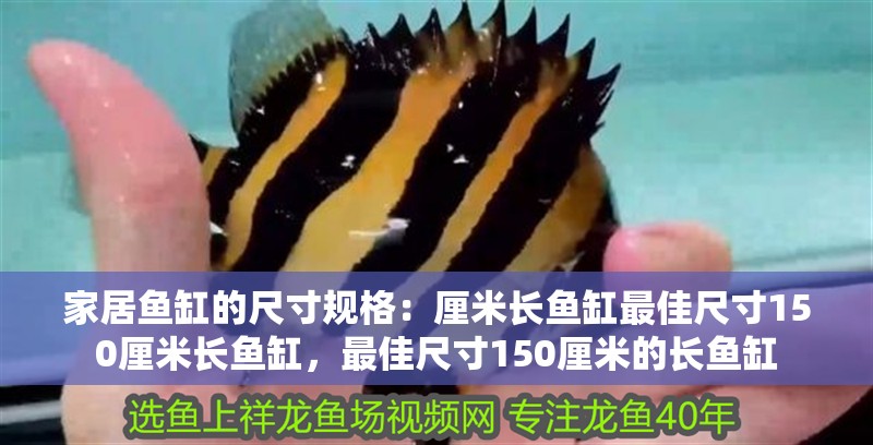 家居魚缸的尺寸規格：厘米長魚缸最佳尺寸150厘米長魚缸，最佳尺寸150厘米的長魚缸