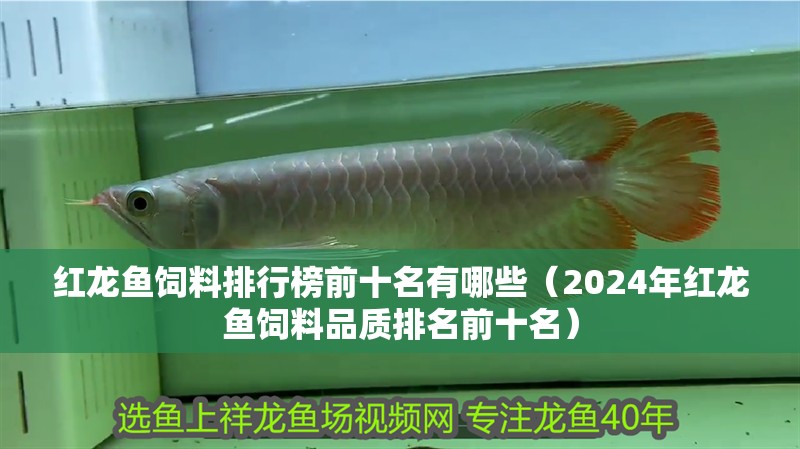 紅龍魚(yú)飼料排行榜前十名有哪些（2024年紅龍魚(yú)飼料品質(zhì)排名前十名）