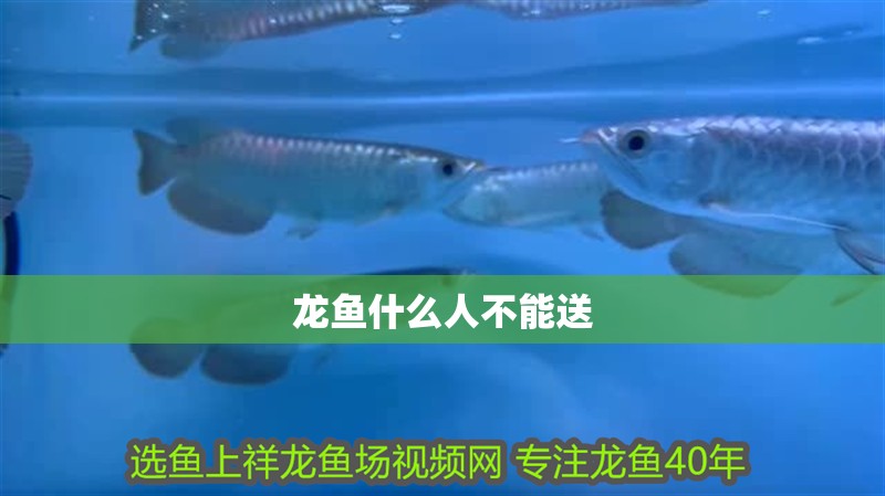 龍魚什么人不能送