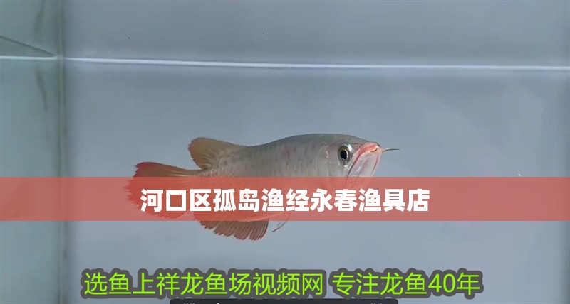 河口區孤島漁經永春漁具店