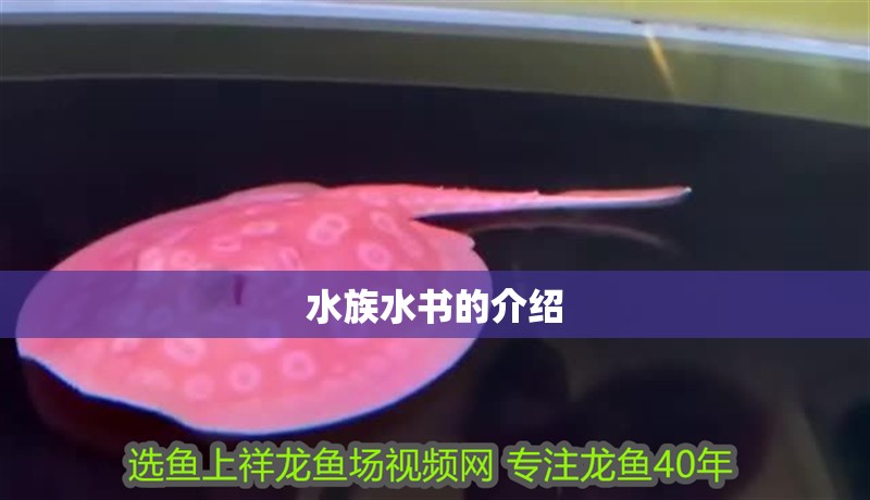 水族水書的介紹