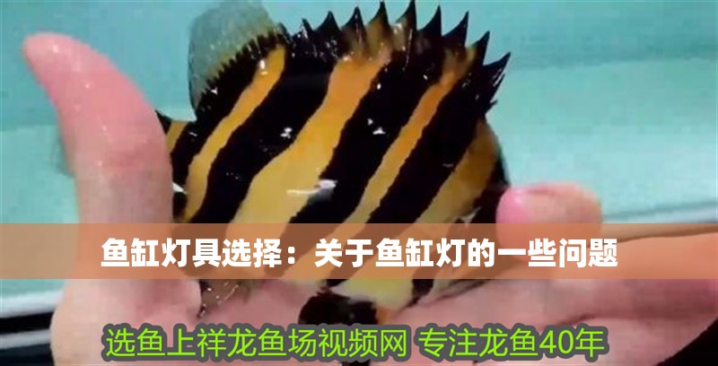 魚缸燈具選擇：關(guān)于魚缸燈的一些問題