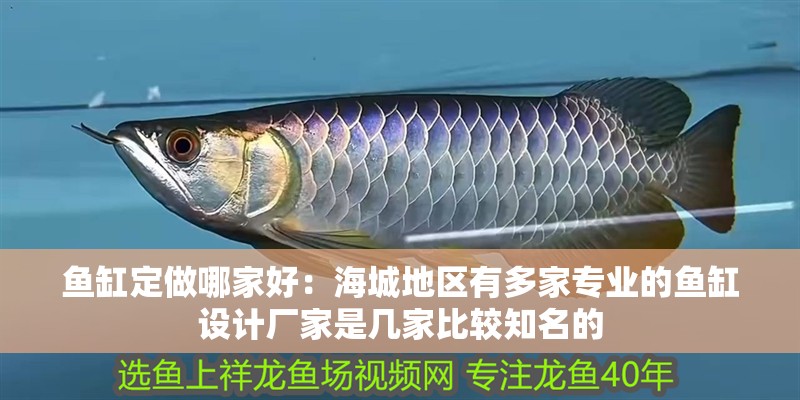 魚缸定做哪家好：海城地區有多家專業的魚缸設計廠家是幾家比較知名的