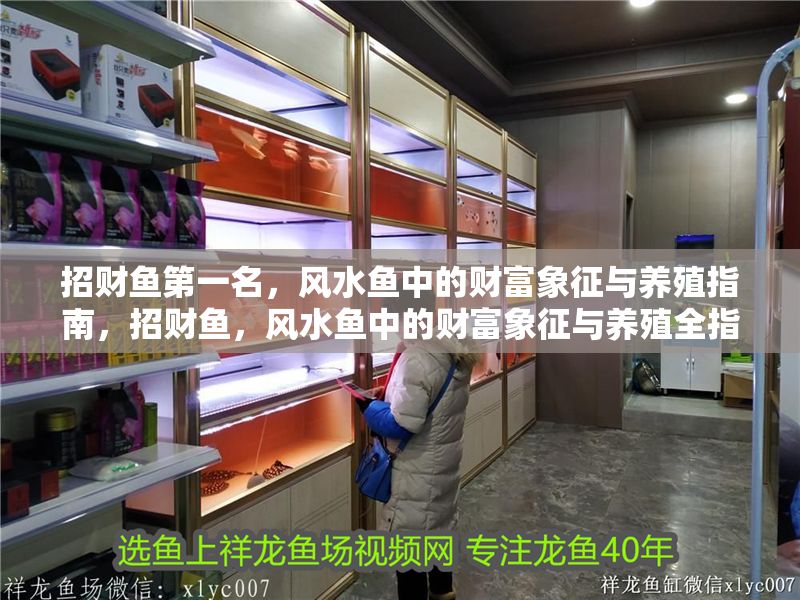 招財魚第一名，風(fēng)水魚中的財富象征與養(yǎng)殖指南，招財魚，風(fēng)水魚中的財富象征與養(yǎng)殖全指南