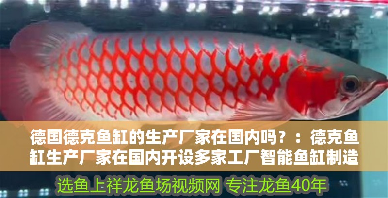 德國德克魚缸的生產廠家在國內嗎？：德克魚缸生產廠家在國內開設多家工廠智能魚缸制造業