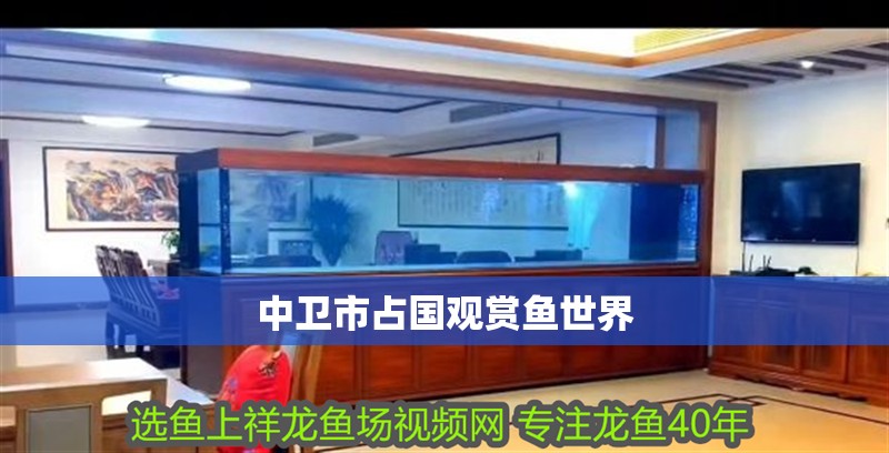 中衛市占國觀賞魚世界