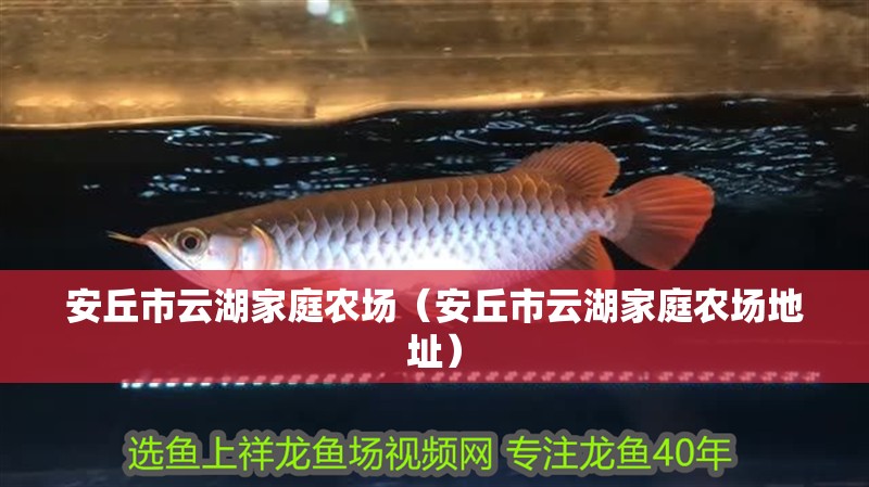 <strong><mark>安丘</mark></strong>市云湖家庭農場（<strong><mark>安丘</mark></strong>市云湖家庭農場地址）