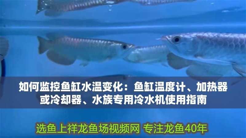 如何監控魚缸水溫變化：魚缸溫度計、加熱器或冷卻器、水族專用冷水機使用指南