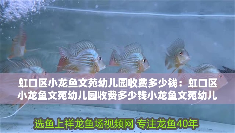 <strong><mark>虹口</mark></strong>區(qū)小龍魚文苑幼兒園收費多少錢：<strong><mark>虹口</mark></strong>區(qū)小龍魚文苑幼兒園收費多少錢小龍魚文苑幼兒園收費標(biāo)準(zhǔn)